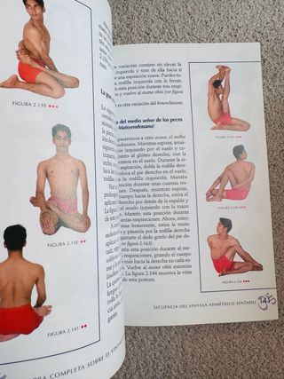 OBRA COMPLETA SOBRE EL VINYASA YOGA
