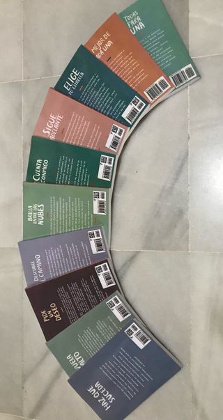 Colección de libros “Ideas en la casa del árbol”.