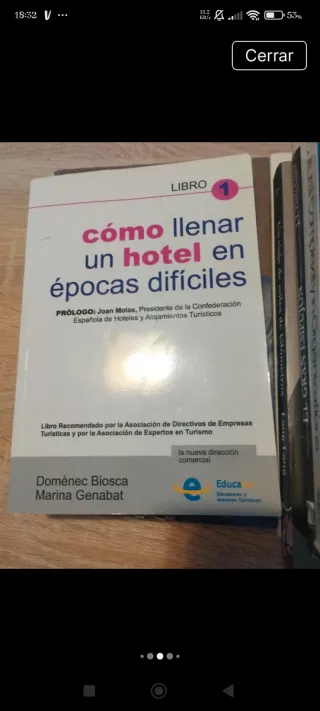 Lote de libros de economia