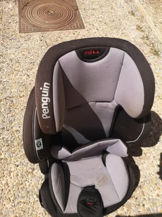 Silla de coche Penguin