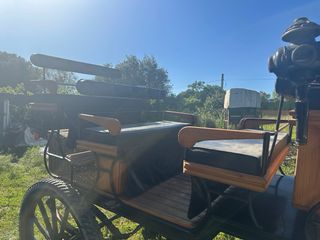 Carro Doma 12 Plazas