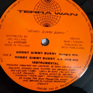 1992 TECHNO Vinilo Terra Wan - Soy Tu Padre