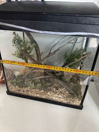 Acuario 30L