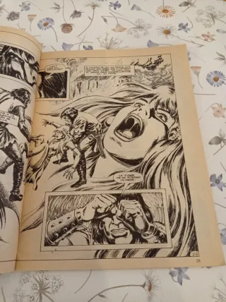 La espada salvaje de Conan nº 78.