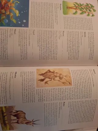 Enciclopedia de Idhún