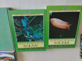 Libros