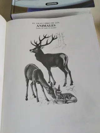 Libros