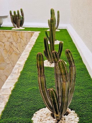 Oficina en alquiler en Vegueta en Palmas de Gran Canaria(Las)