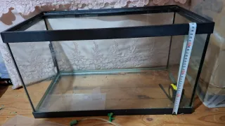 Pecera grande 10€ + accesorios. No se hace envíos