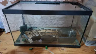 Pecera grande 10€ + accesorios. No se hace envíos