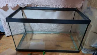 Pecera grande 10€ + accesorios. No se hace envíos