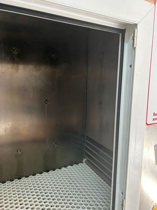 Lavadora y secadora para perros y gatos