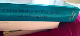Curso básico de economía de la empresa