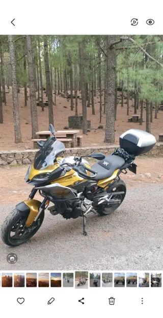 BMW F900XR Oro/Plata