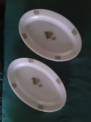 2 Bandejas Arcopal Florales
