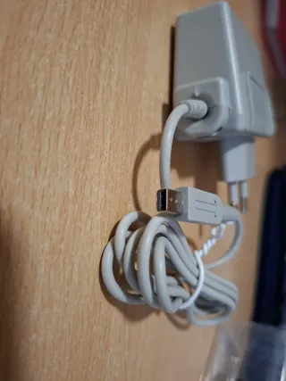 Caricabatterie per Nintendo 3DS/XL/2DS