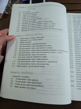 El cerebro humano: Libro de trabajo