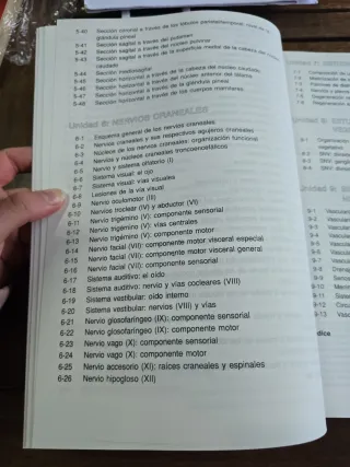 El cerebro humano: Libro de trabajo