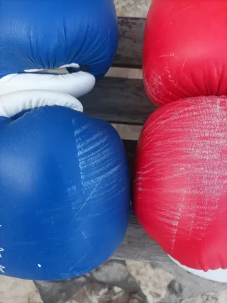 Guantes de Boxeo Top Ten Rojos y Azules