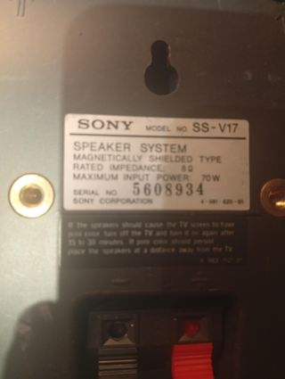 Subwoofer Sony SA-W10 + 4 Altavoces Sony