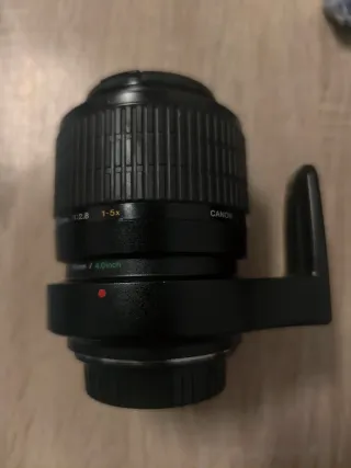 Canon MP-E 65mm f/2.8 1-5x Macro