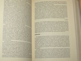 Diccionario etnología y antropología P. Bonte Akal