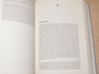 Diccionario etnología y antropología P. Bonte Akal