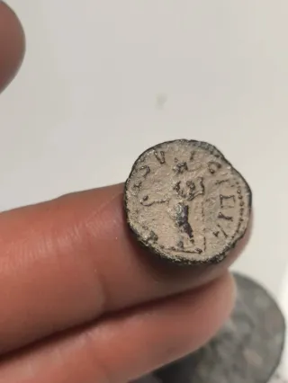 Moneda Denario Romano Limes Julia Mamaea