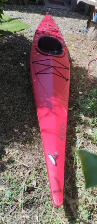 Kayak Necky Rojo