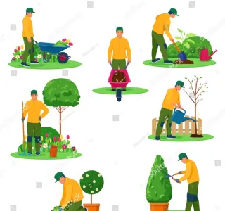 Jardinero