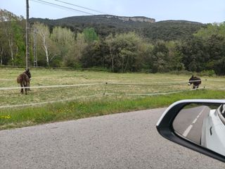 VIAJES Y TRASLADOS