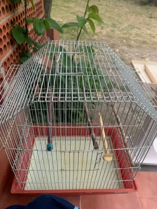 Jaula para pájaros roja y beige