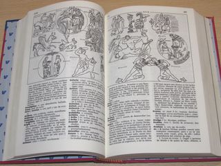 Diccionario ilustrado latín latino - español Vox