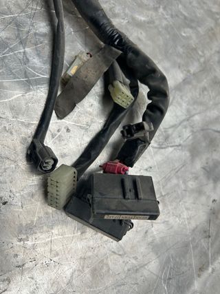Cableado Yamaha R1 2004-2006