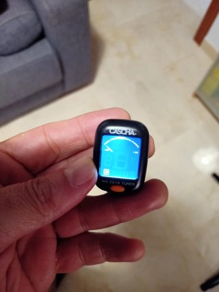 Lote Funda guitarra eléctrica + correas + afinador