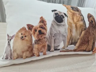 Funda cojín perros beige y marrón