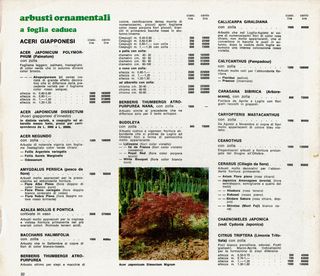 Catalogo Vivai Olivo Toffoli Primavera 1970