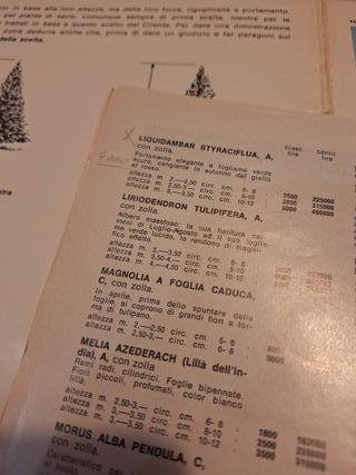 Catalogo Vivai Olivo Toffoli Primavera 1970
