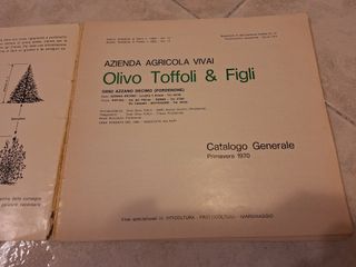 Catalogo Vivai Olivo Toffoli Primavera 1970