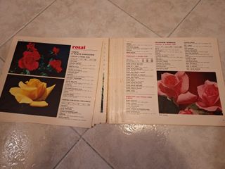 Catalogo Vivai Olivo Toffoli Primavera 1970