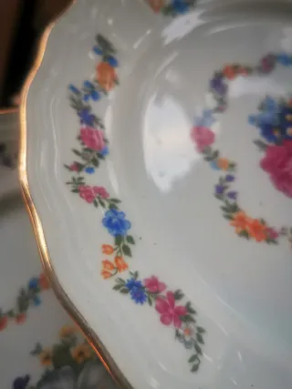 Platos Bidasoa Florales Porcelana