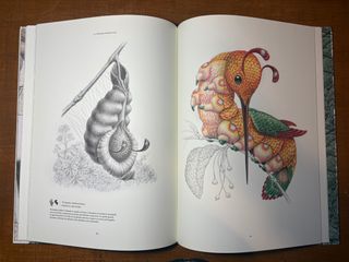 Terra Ultima: El descubrimiento de un nuevo con...