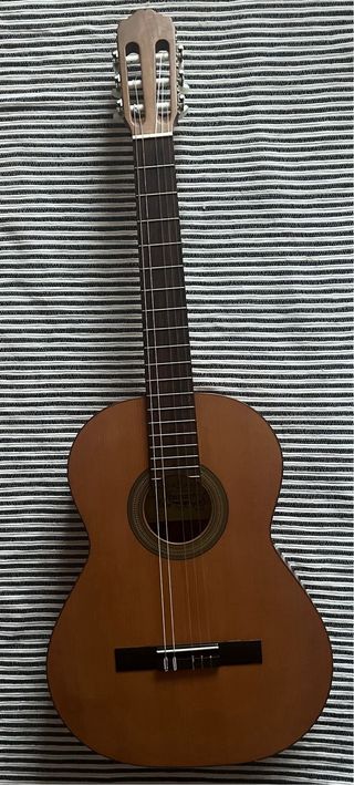 Guitarra Raimundo 104 M