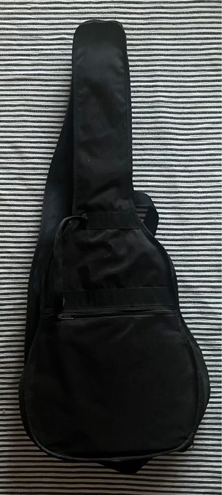 Guitarra Raimundo 104 M