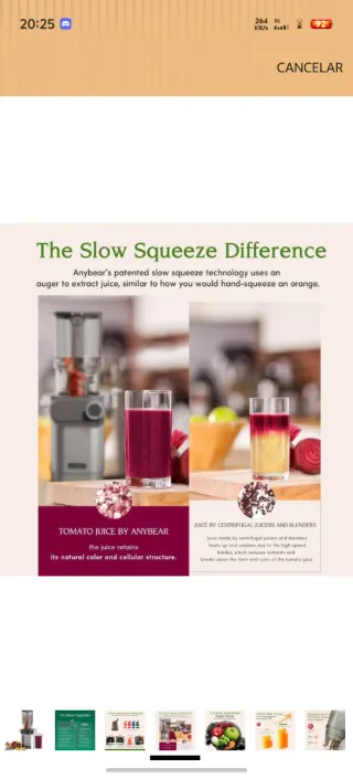 Extractor Jugo Anybear 200W Slow Juicer