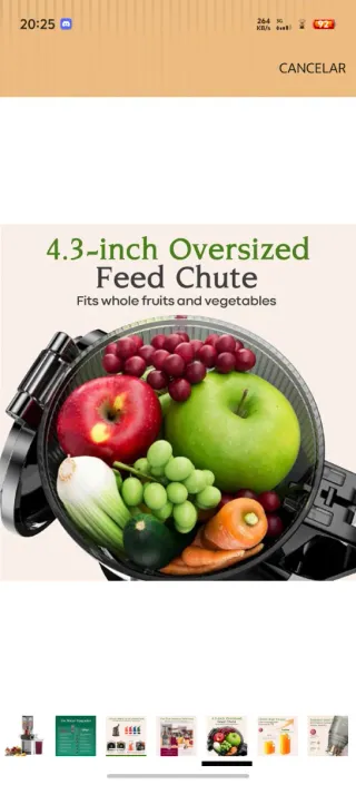 Extractor Jugo Anybear 200W Slow Juicer