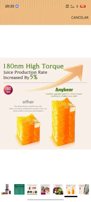 Extractor Jugo Anybear 200W Slow Juicer