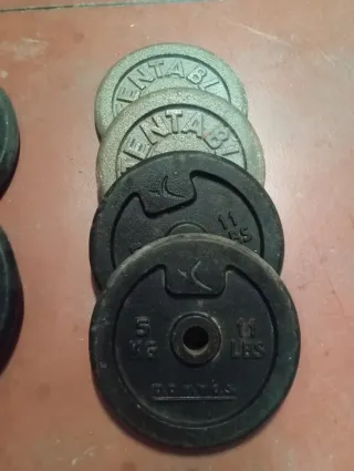 Dischi Domyos da 5 kg