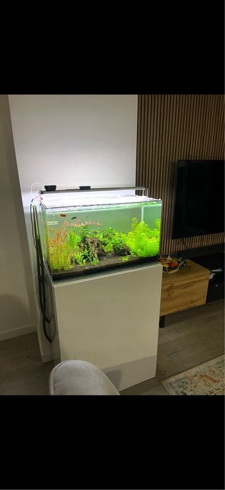 Acuario 60 litros