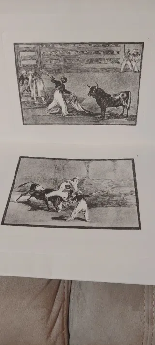 Libro La Tauromaquia Goya Edición Homenaje